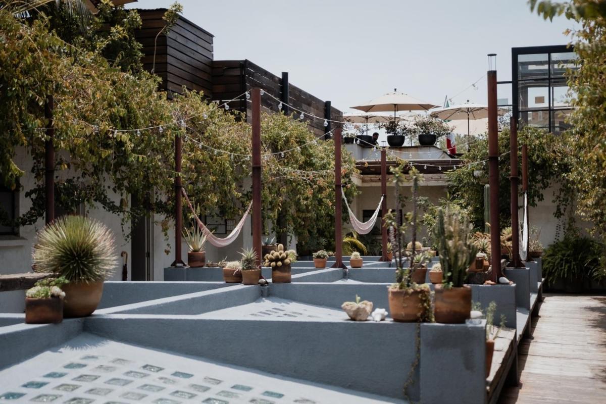 Casa Lomah Hotel Mexico City Luaran gambar