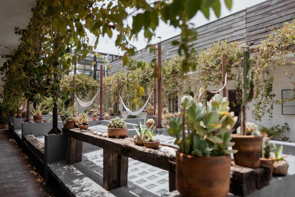 Casa Lomah Hotel Mexico City Luaran gambar